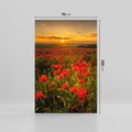 Obraz na płótnie 70x100 - Maki przy zachodzie słońca - maki, zachód