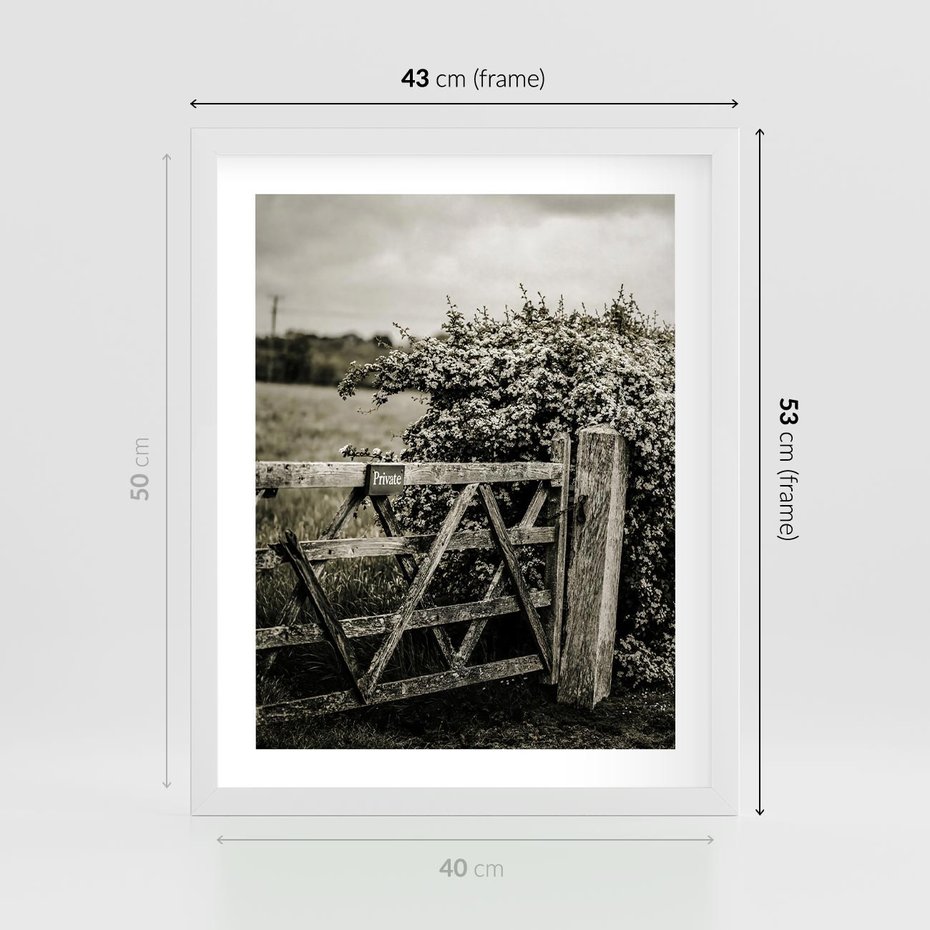 Plakat w ramie 40x50 - Wiejski Urok: Stary Płot i Kwitnący Krzew - rustykalne zdjęcie, stary płot - rama biała