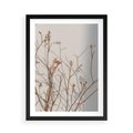 Plakat w ramie 50x70 - Boho gałązki suche - gałązki, suche - rama czarna