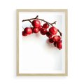 Plakat w ramie 50x70 - Jesienne Owoce - jarzębina, czerwone owoce - rama drewno