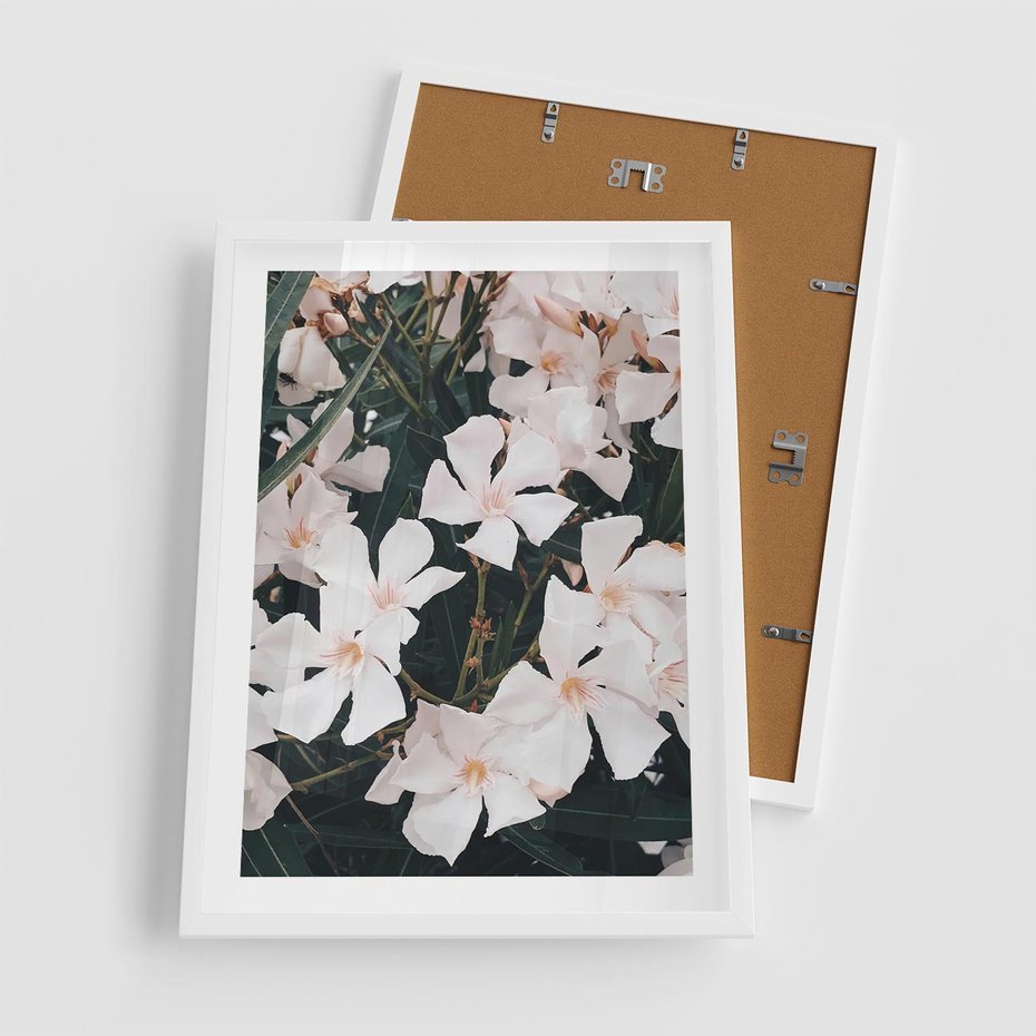 Plakat w ramie 50x70 - Egzotyczna Uroda - białe kwiaty, tropikalne kwiaty - rama biała