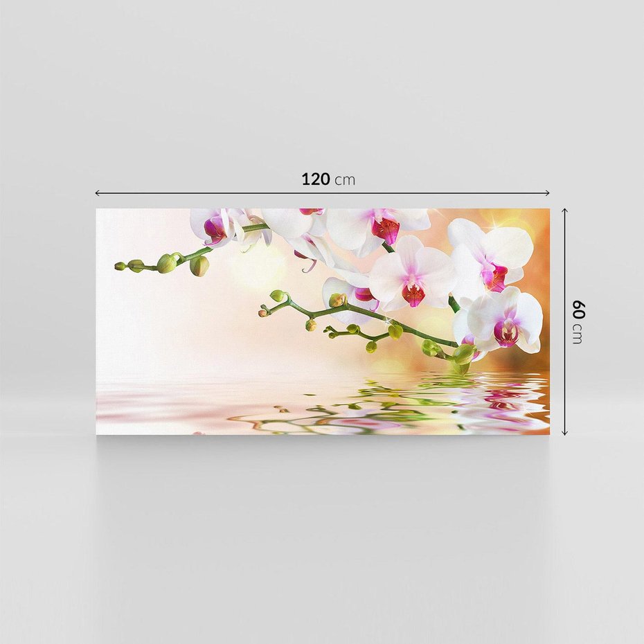 Obraz na płótnie 120x60 - Elegancja orchidei - orchidea, kwiaty