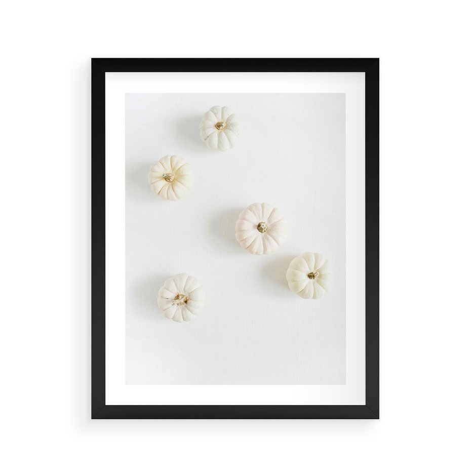 Plakat w ramie 40x50 - Biała Jesień: Dynie na Jasnym Tle - białe dynie, białe tło - rama czarna