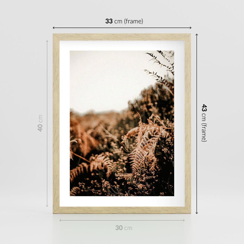 Plakat w ramie 30x40 - Jesienna Harmonia - suche paprocie, jesienny krajobraz - rama drewno