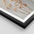 Plakat w ramie 40x50 - Delikatne gipsówki - gipsówka, suche - rama czarna