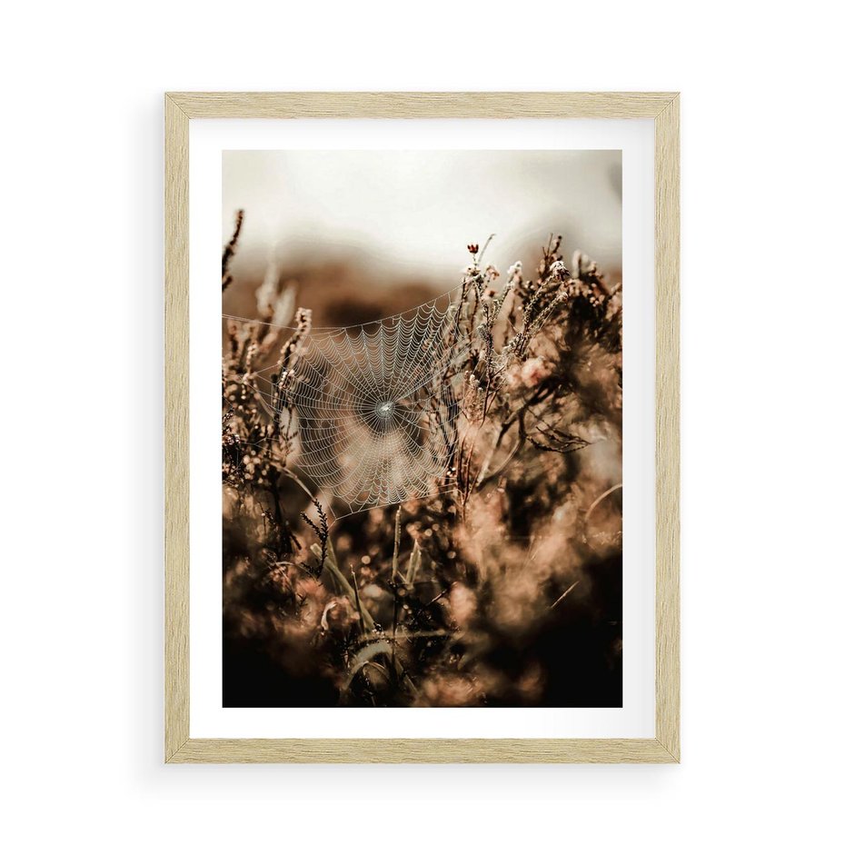 Plakat w ramie 50x70 - Jesienny Mikrokosmos - suchetrawy, jesienny klimat - rama drewno