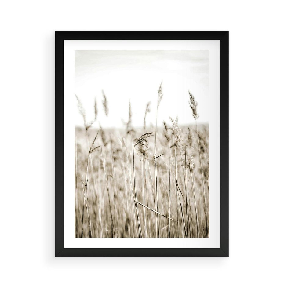 Plakat w ramie 50x70 - Nostalgiczny Pejzaż - suche trawy, pole - rama czarna