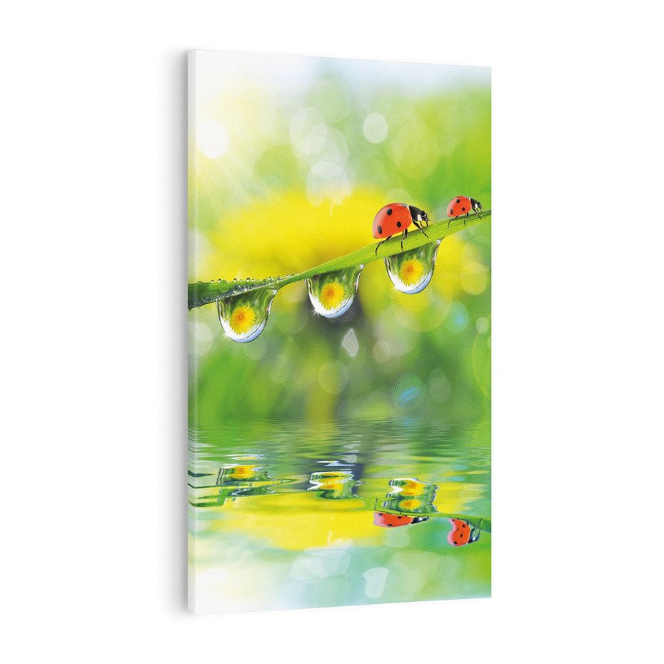 Obraz na płótnie 70x100 - Deszczowa Biedronka - biedronka, deszcz