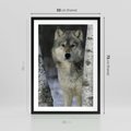 Plakat w ramie 50x70 - Wilk w Zimowym Lesie - wilk, las - rama czarna