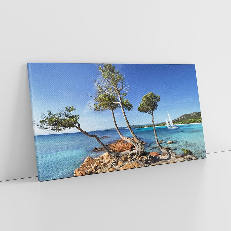 Obraz na płótnie 100x50 - Korsyka - morze i drzewa - Korsyka, morze