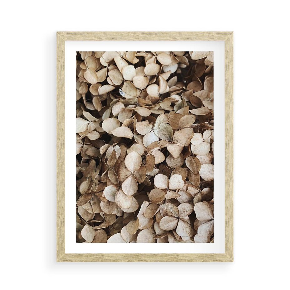 Plakat w ramie 50x70 - Delikatność Hortensji: Kompozycja Kwiatów w Beżu - hortensja, odcienie beżu - rama drewno