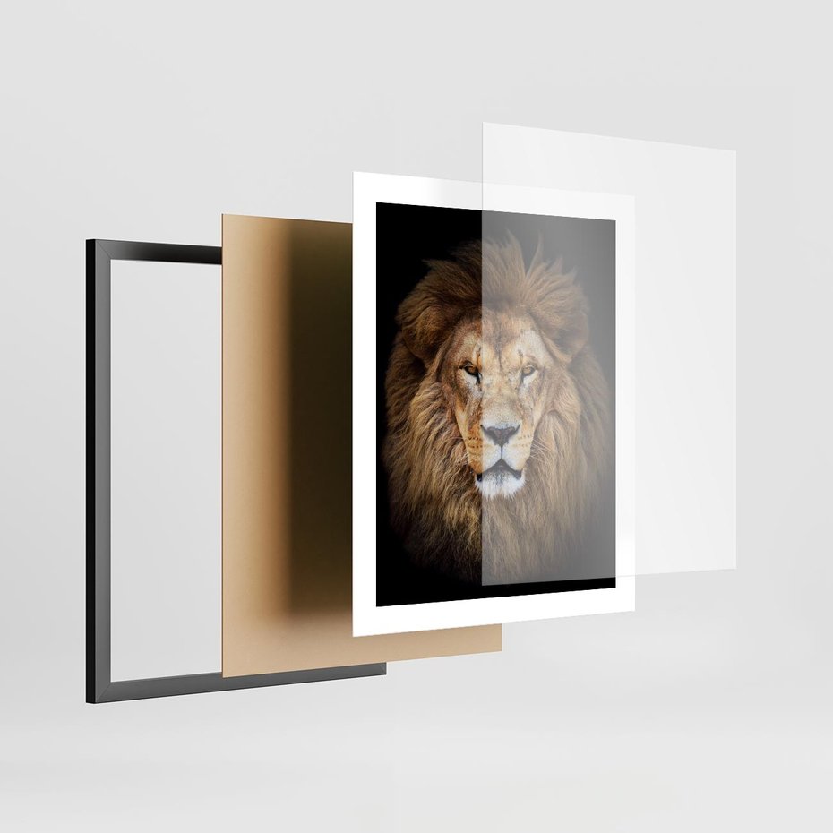 Plakat w ramie 40x50 - Król zwierząt w majestatycznym stylu - lew, król - rama czarna