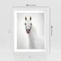 Plakat w ramie 40x50 - Elegancja białego konia - biały, koń - rama biała