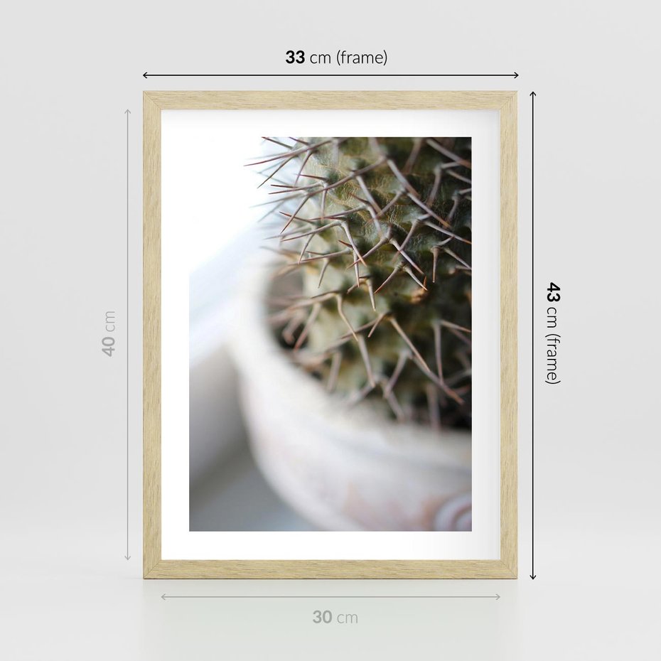 Plakat w ramie 30x40 - Kaktus w Zbliżeniu - kaktus, igły - rama drewno