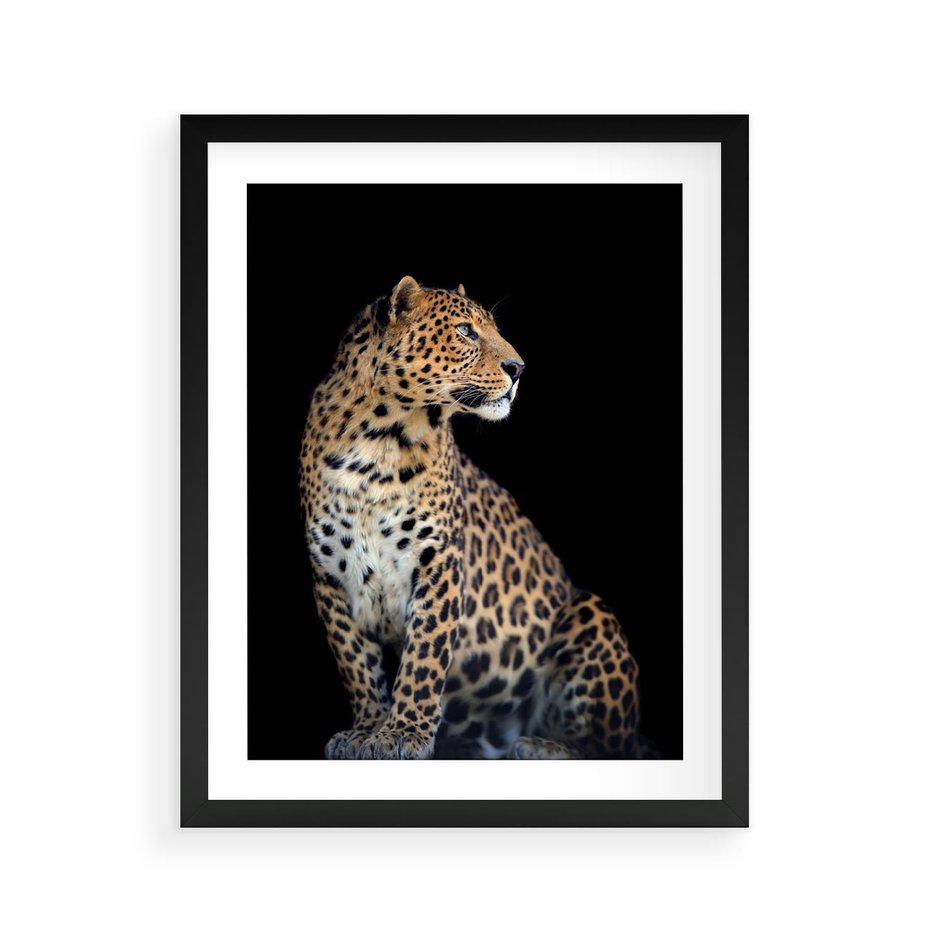 Plakat w ramie 40x50 - Elegancja Jaguarowej Pantery - jaguar, pantera - rama czarna