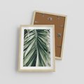 Plakat w ramie 30x40 - Spokojna Piękność Palmowych Liści - palma, liście palmy - rama drewno