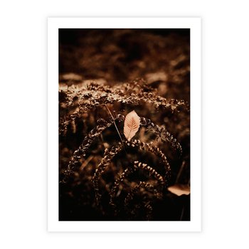 Plakat bez ramy 21x30 - Gałęzie i Liść w Brązowej Tonacji - suche gałęzie, liść