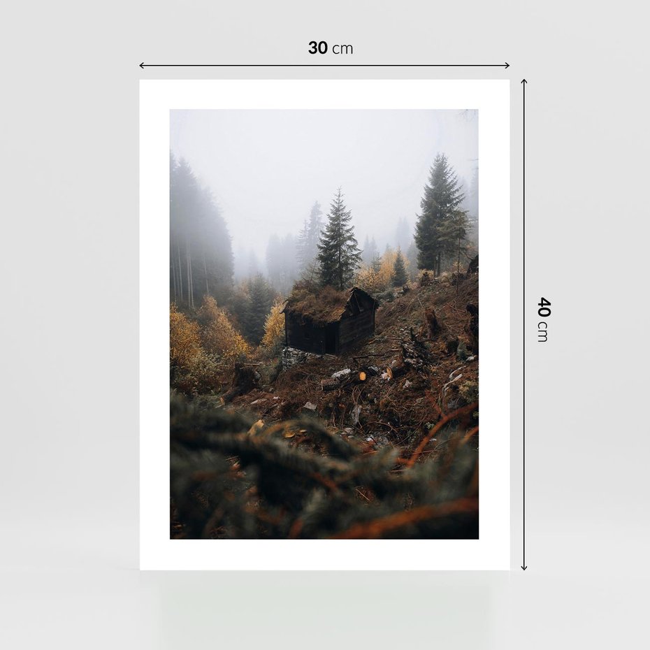 Plakat bez ramy 30x40 - Górski las - stary zniszczony domek w górach, góry