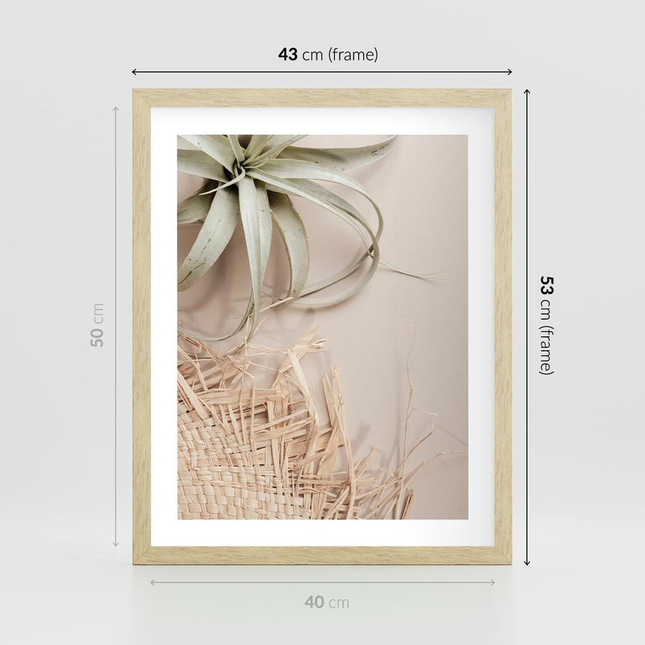 Plakat w ramie 40x50 - Aloes w Stylu Boho - kompozycja, wiklina - rama drewno
