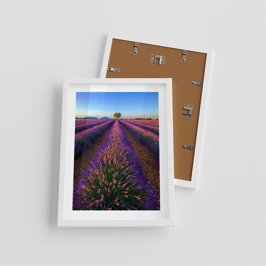 Plakat w ramie 30x40 - Fioletowa Magia - pole, lawendy - rama biała