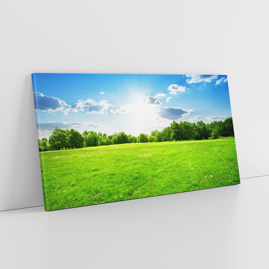 Obraz na płótnie 140x70 - Idylla na łące drzew - łąka, drzewa