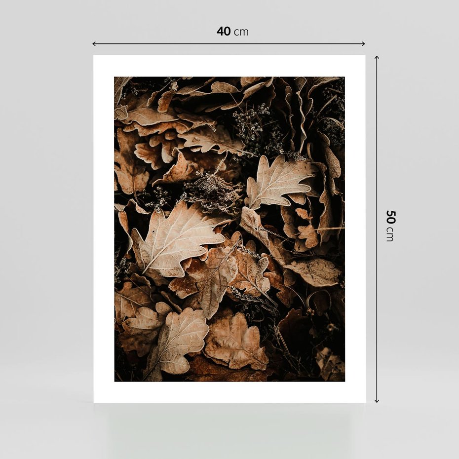 Plakat bez ramy 40x50 - Jesienna Melodia: Liście i Szyszki - suche liście, szyszki