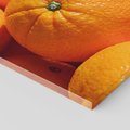 Obraz na płótnie 30x30 - Pomarańcze Owoce - pomarańcze, owoce