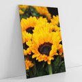 Obraz na płótnie 80x120 - promień słoneczny w kwiatowym świecie - słoneczniki, kwiat