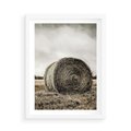 Plakat w ramie 50x70 - Siano w Sepii: Wiejska Tradycja - snopek siana, bela siana - rama biała
