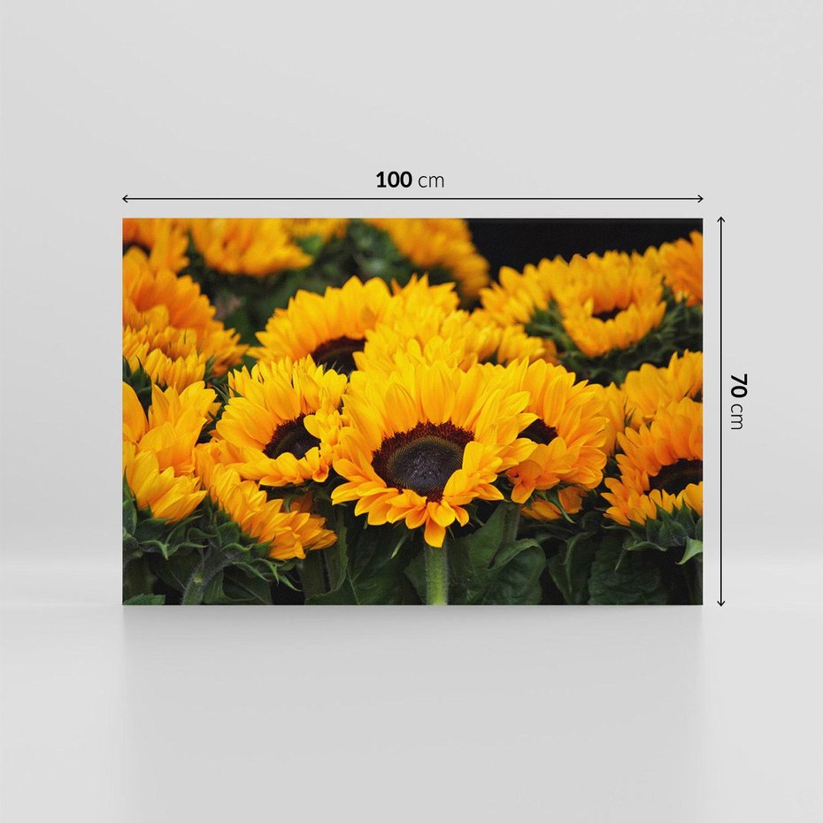 Obraz na płótnie 100x70 - promień słoneczny w kwiatowym świecie - słoneczniki, kwiat