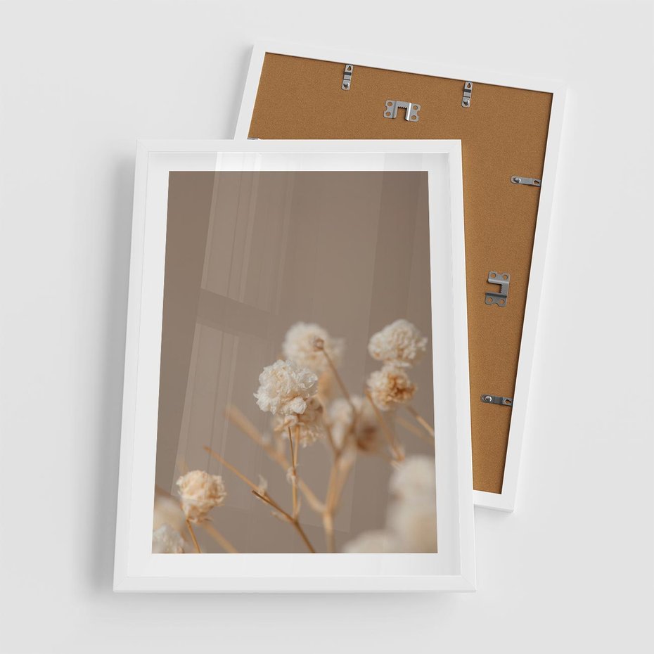 Plakat w ramie 50x70 - Przezroczyste piękno - gipsówka, suche - rama biała