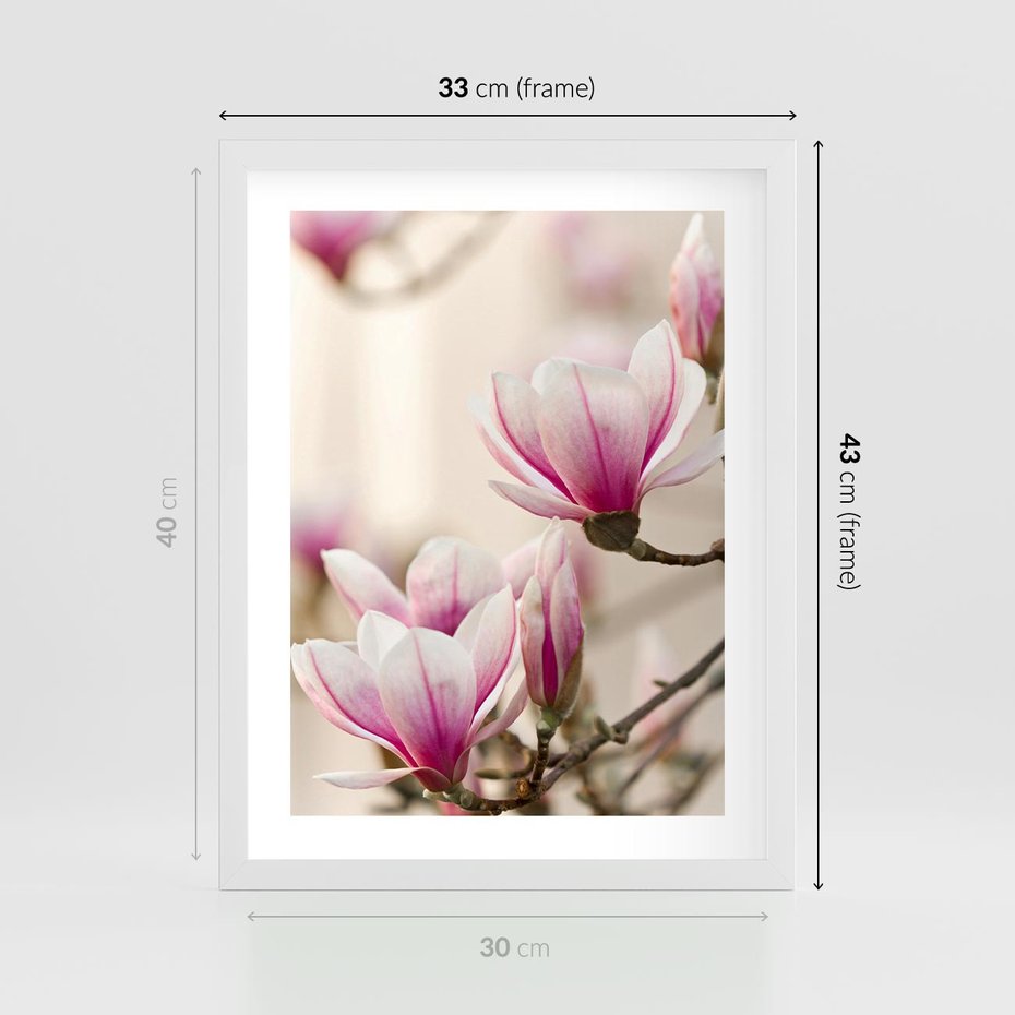 Plakat w ramie 30x40 - Urok Magnolii - magnolie, kwiaty - rama biała
