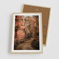 Plakat w ramie 50x70 - Obraz przedstawia jesienne drzewa i czerwone liście na ścieżce w lesie. Ta sceneria doskonale oddaje urok i kolorystykę jesieni w lesie. - las, jesień - rama drewno
