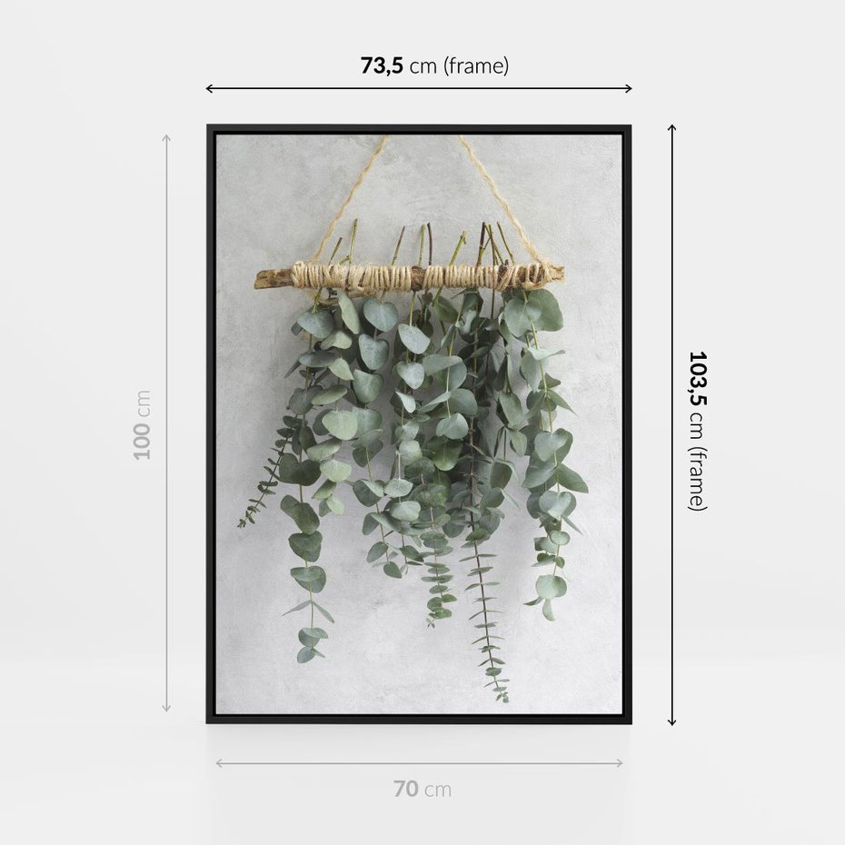 Obraz w ramie 70x100 - Uwodzicielska zieleń eukaliptusa - eukaliptus, zielone - rama czarna