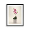 Plakat w ramie 30x40 - Delikatność storczyka orchidei - storczyk, orchidea - rama czarna