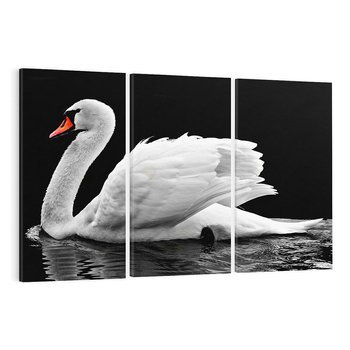 Obraz na płótnie 120x80 - Delikatne Uderzenie Skrzydeł Łabędzia - łabędź, ptak