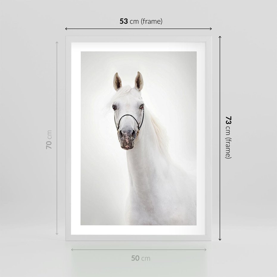Plakat w ramie 50x70 - Elegancja białego konia - biały, koń - rama biała