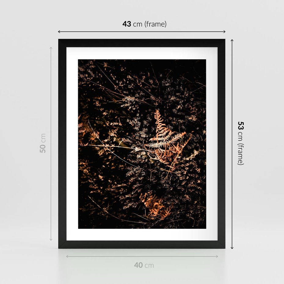 Plakat w ramie 40x50 - Jesienna Melodia - suche trawy, paprocie - rama czarna