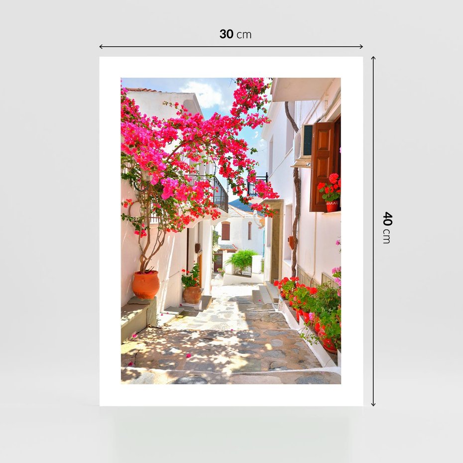 Plakat bez ramy 30x40 - Kwiatowa uliczka wakacji - kwiaty, uliczka