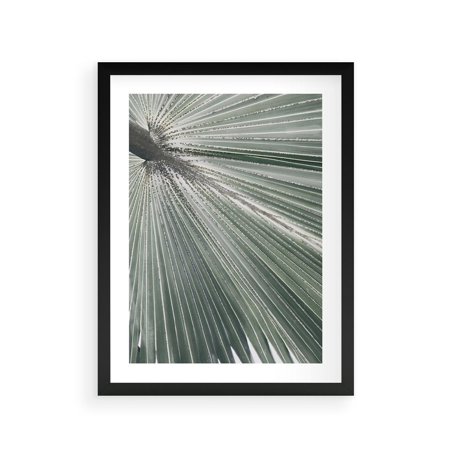 Plakat w ramie 30x40 - Jasnozielony Świat - palma, liść - rama czarna