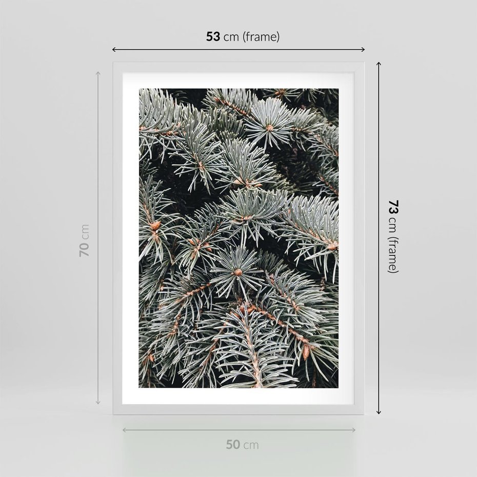 Plakat w ramie 50x70 - Zima na Gałęziach - sosnowe gałęzie, igły - rama biała