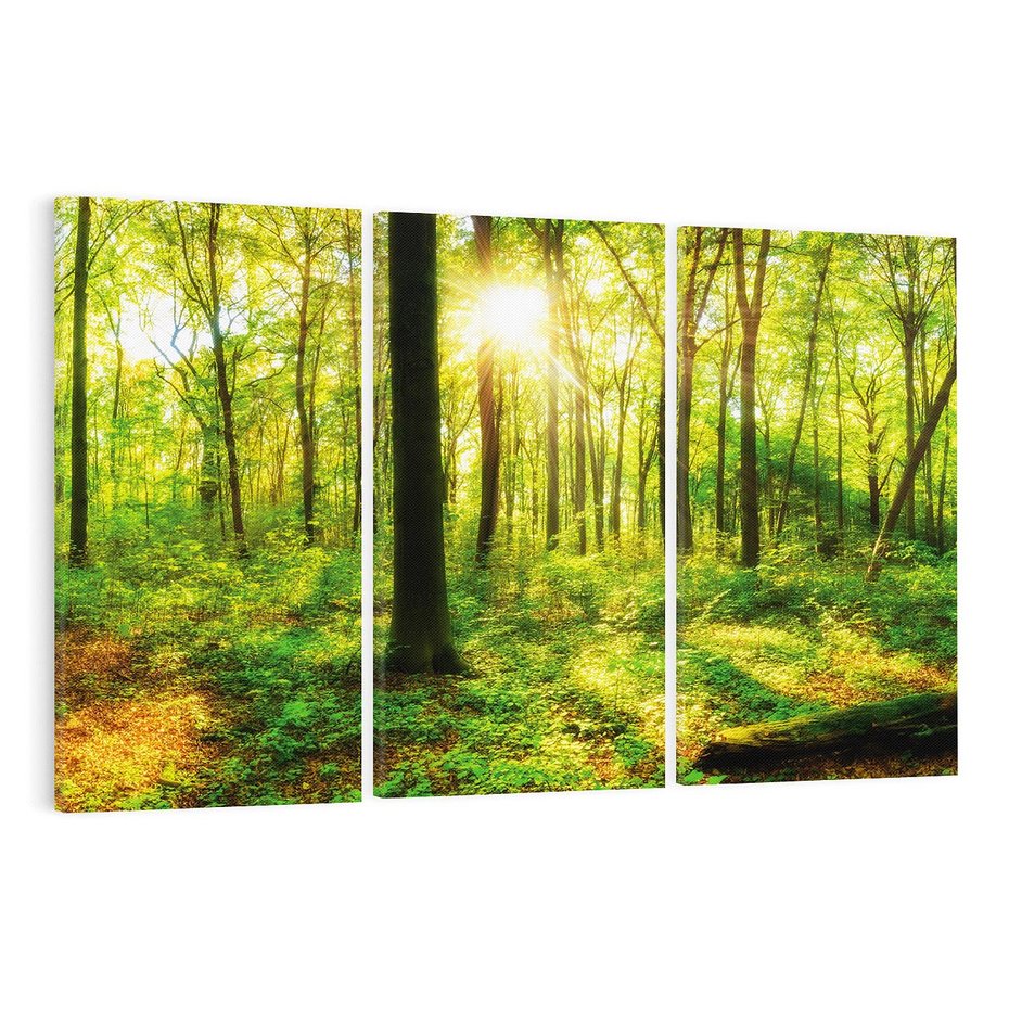 Obraz na płótnie 120x80 - Mistyfikujący las - las, drzewa