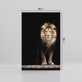 Obraz na płótnie 50x70 - Lew: dzikie piękno natury - lew, dzikie