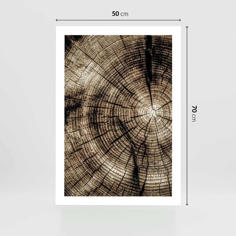 Plakat bez ramy 50x70 - Natura Pod Lupą - pień drzewa, przekrój