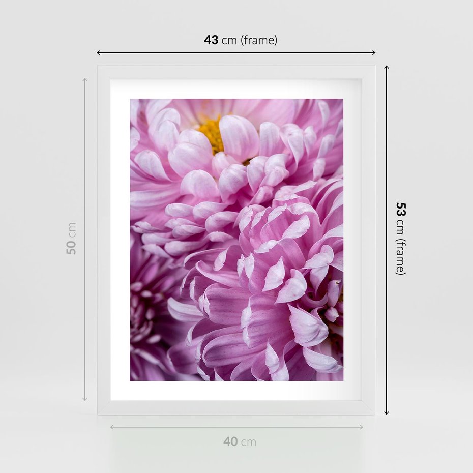 Plakat w ramie 40x50 - Fioletowy zawrót głowy - kwiat, różowy kwiat - rama biała