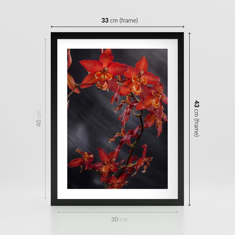 Plakat w ramie 30x40 - Kolorowy Raj - kwiaty, tropikalne - rama czarna