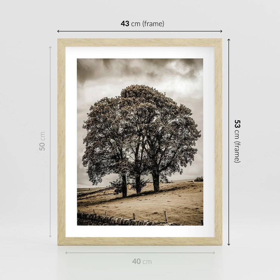 Plakat w ramie 40x50 - Spokojna Osamotniona Chwila - beżowe kolory, samotne drzewo na polu - rama drewno