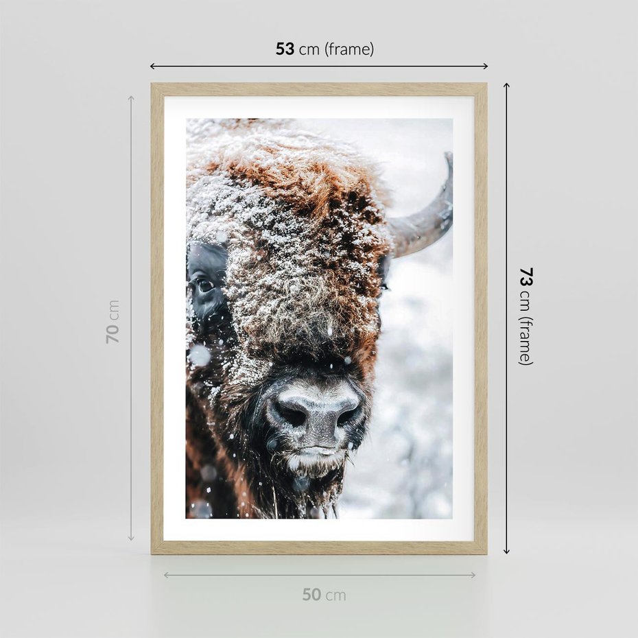 Plakat w ramie 50x70 - Żubr w Krainie Śniegu - żubr, zima - rama drewno