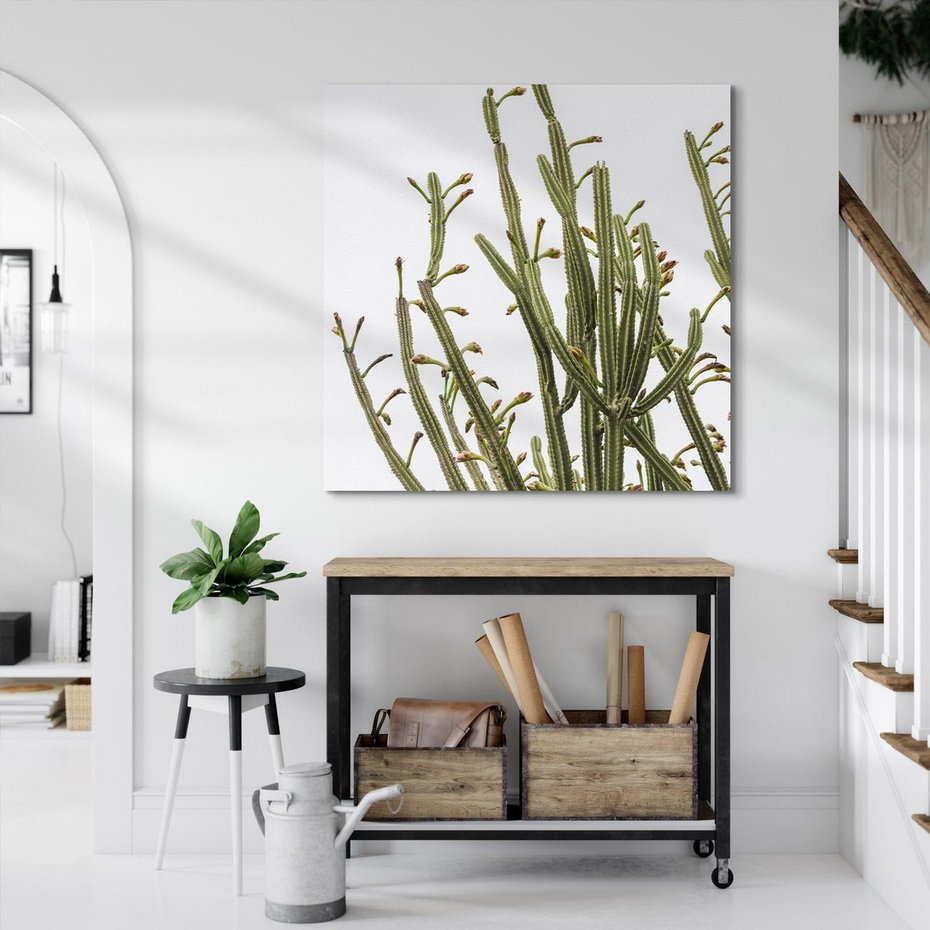 Obraz na płótnie 60x60 - Ekskluzywna Roślinność - kaktusy, liście