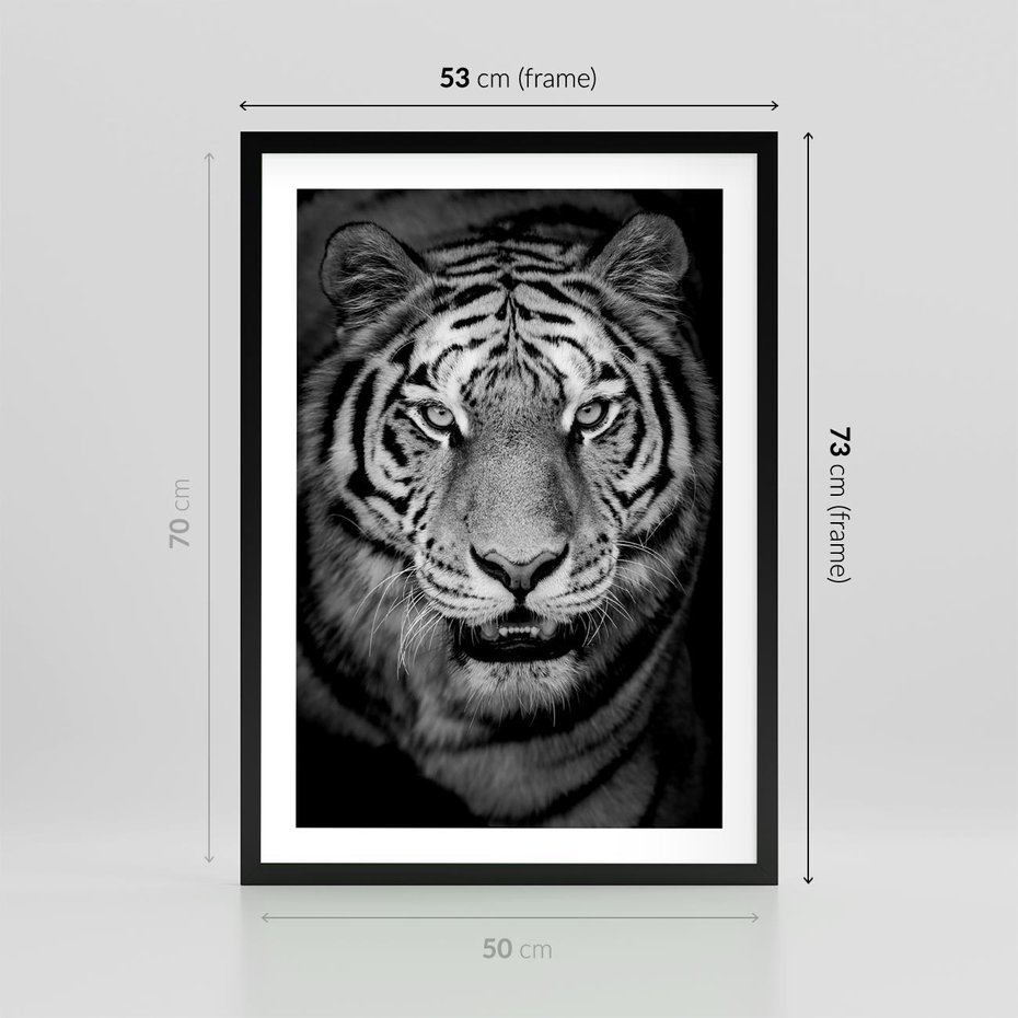 Plakat w ramie 50x70 - Tygrys Czarno-Biały: Siła i Delikatność - tygrys, czarno - rama czarna